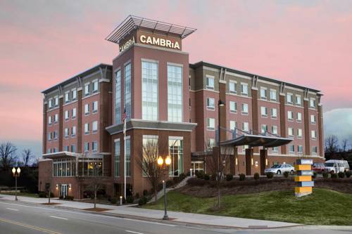 Imagen de la habitación del Hotel Springhill Suites By Marriott Roanoke. Foto 2