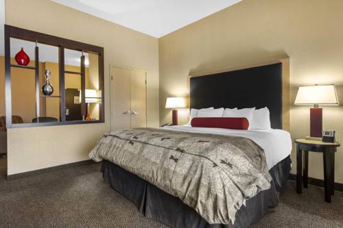 Imagen de la habitación del Hotel Springhill Suites By Marriott Roanoke. Foto 3