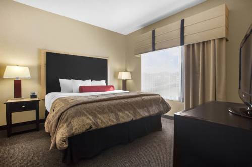 Imagen de la habitación del Hotel Springhill Suites By Marriott Roanoke. Foto 8