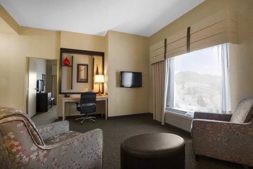 Imagen de la habitación del Hotel Springhill Suites By Marriott Roanoke. Foto 9
