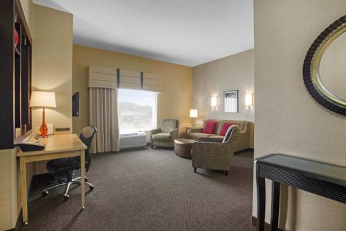 Imagen de la habitación del Hotel Springhill Suites By Marriott Roanoke. Foto 11