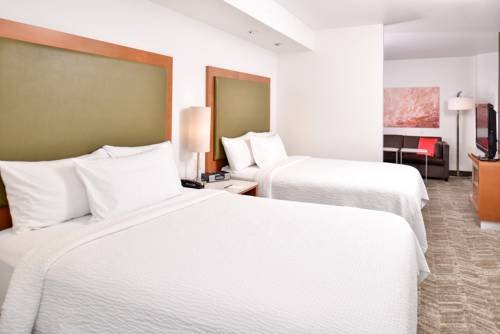 Imagen de la habitación del Hotel Springhill Suites By Marriott Roseville. Foto 5