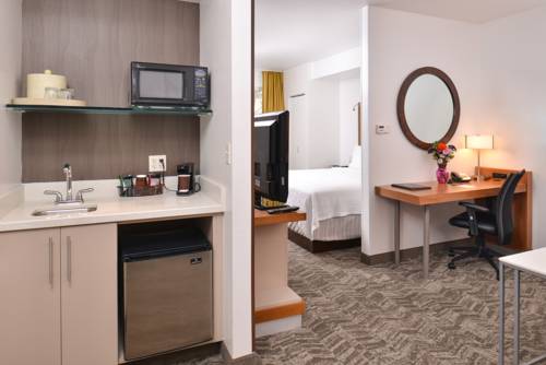 Imagen de la habitación del Hotel Springhill Suites By Marriott Roseville. Foto 6