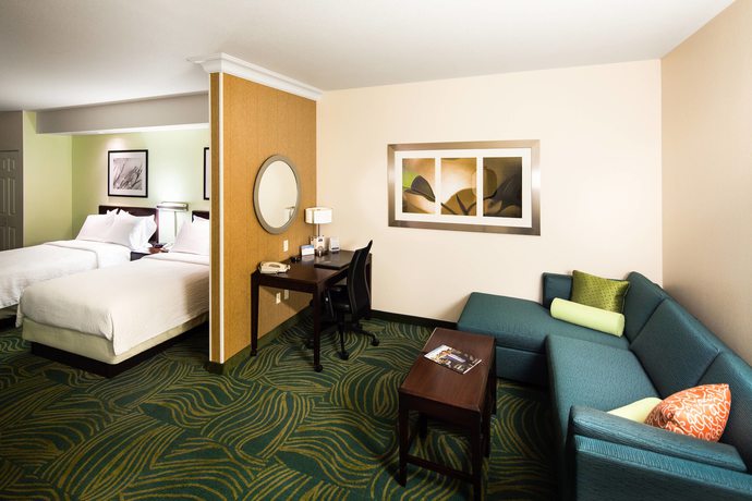 Imagen de la habitación del Hotel Springhill Suites By Marriott Sacramento Natomas. Foto 4