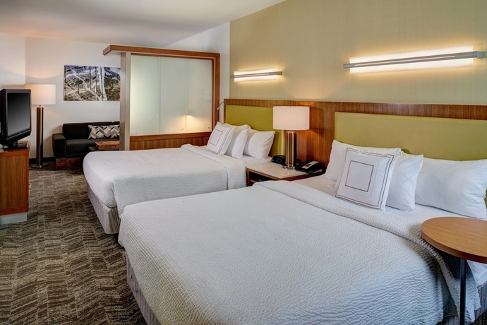 Imagen de la habitación del Hotel Springhill Suites By Marriott Saginaw. Foto 14