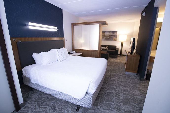 Imagen de la habitación del Hotel Springhill Suites By Marriott San Antonio Alamo Plaza/convention Center. Foto 8