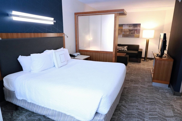 Imagen de la habitación del Hotel Springhill Suites By Marriott San Antonio Alamo Plaza/convention Center. Foto 12