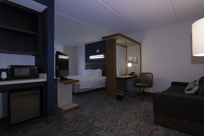 Imagen de la habitación del Hotel Springhill Suites By Marriott San Antonio Alamo Plaza/convention Center. Foto 13