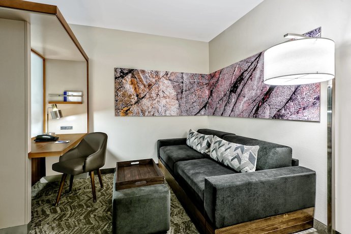 Imagen de la habitación del Hotel Springhill Suites By Marriott San Antonio Seaworld Lackland. Foto 9
