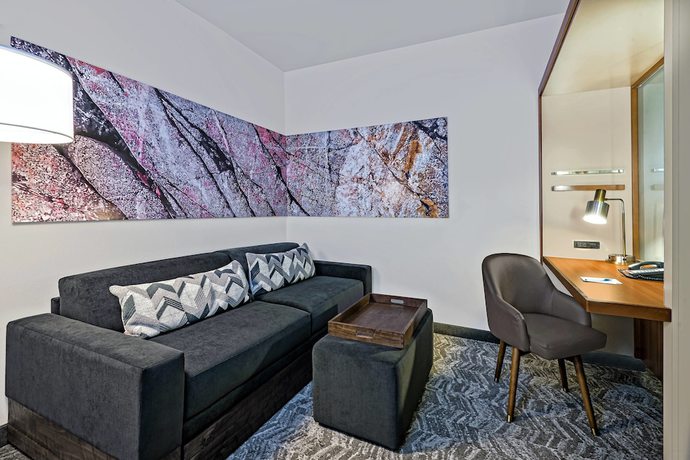 Imagen de la habitación del Hotel Springhill Suites By Marriott San Antonio Seaworld Lackland. Foto 13