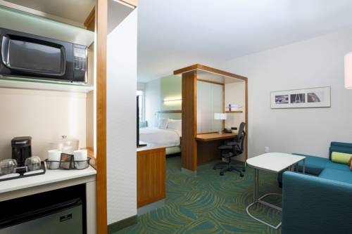 Imagen de la habitación del Hotel Springhill Suites By Marriott San Jose Airport. Foto 10