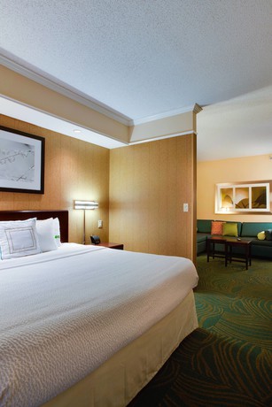 Imagen de la habitación del Hotel Springhill Suites By Marriott Savannah I-95. Foto 8