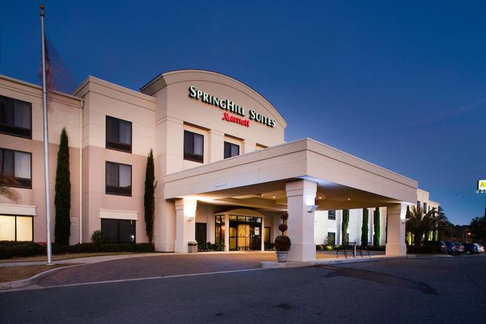 Imagen general del Hotel Springhill Suites By Marriott Savannah I-95. Foto 1