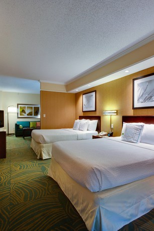 Imagen de la habitación del Hotel Springhill Suites By Marriott Savannah I-95. Foto 10