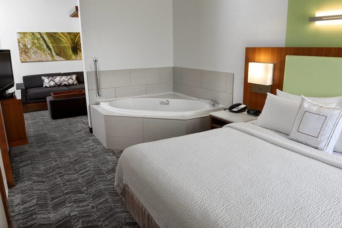 Imagen de la habitación del Hotel Springhill Suites By Marriott Sioux Falls. Foto 14