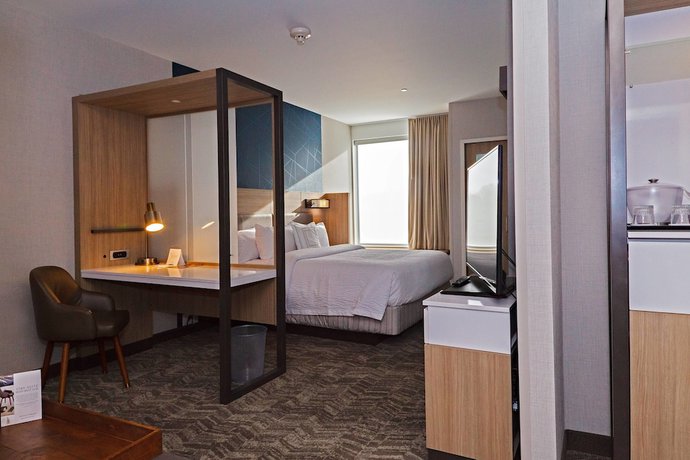 Imagen de la habitación del Hotel Springhill Suites By Marriott Somerset Franklin Township. Foto 10