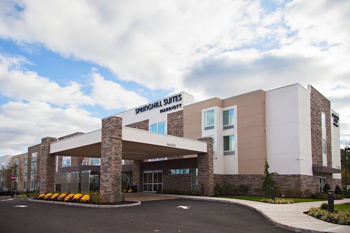 Imagen general del Hotel Springhill Suites By Marriott Somerset Franklin Township. Foto 4