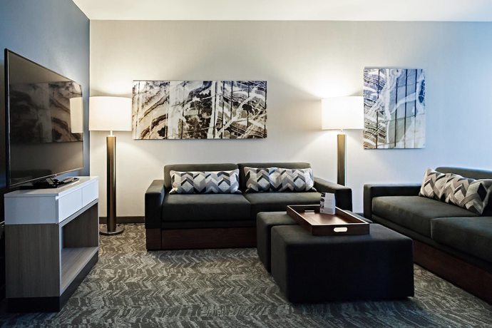 Imagen de la habitación del Hotel Springhill Suites By Marriott Somerset Franklin Township. Foto 16
