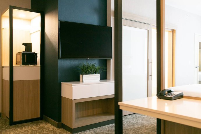 Imagen de la habitación del Hotel Springhill Suites By Marriott South Bend Notre Dame Area. Foto 15