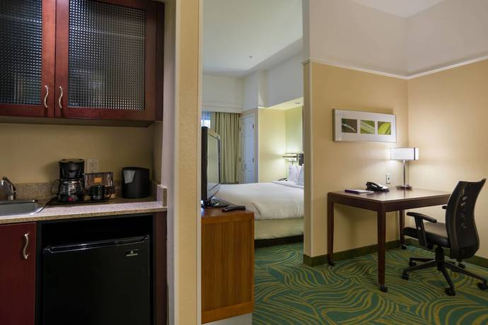 Imagen de la habitación del Hotel Springhill Suites By Marriott St. Petersburg Clearwater. Foto 9