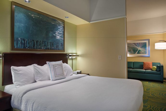 Imagen de la habitación del Hotel Springhill Suites By Marriott St. Petersburg Clearwater. Foto 12