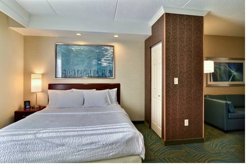 Imagen de la habitación del Hotel Springhill Suites By Marriott State College. Foto 11