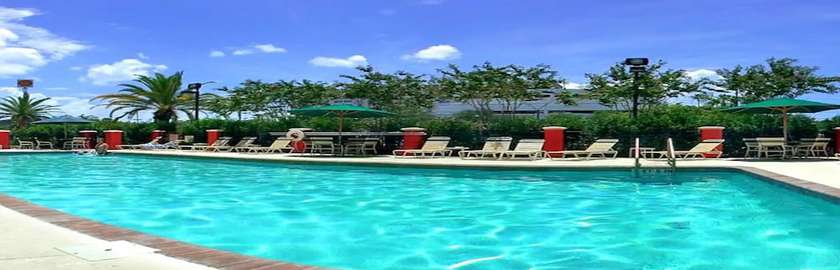 Imagen de la piscina del Hotel Springhill Suites By Marriott Tampa Westshore Airport. Foto 20