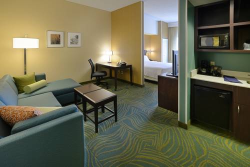 Imagen de la habitación del Hotel Springhill Suites By Marriott Terre Haute. Foto 6