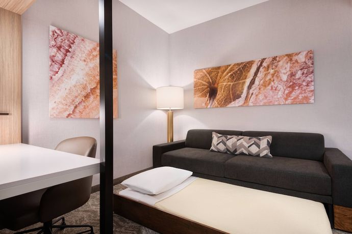 Imagen de la habitación del Hotel Springhill Suites By Marriott Tifton. Foto 12