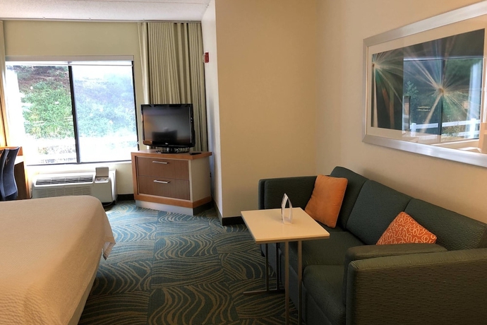 Imagen de la habitación del Hotel Springhill Suites By Marriott West Mifflin. Foto 11