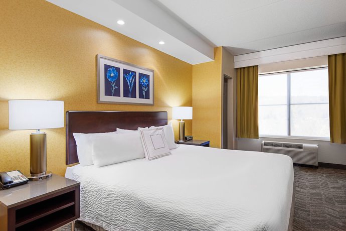Imagen de la habitación del Hotel Springhill Suites By Marriott Wheeling Tridelphia Area. Foto 6