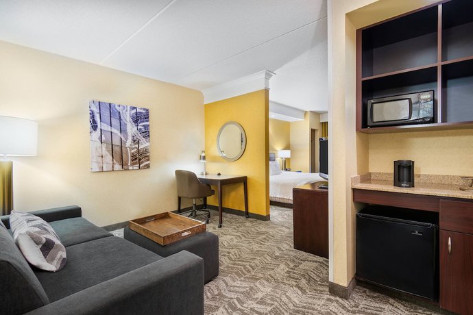 Imagen de la habitación del Hotel Springhill Suites By Marriott Wheeling Tridelphia Area. Foto 7