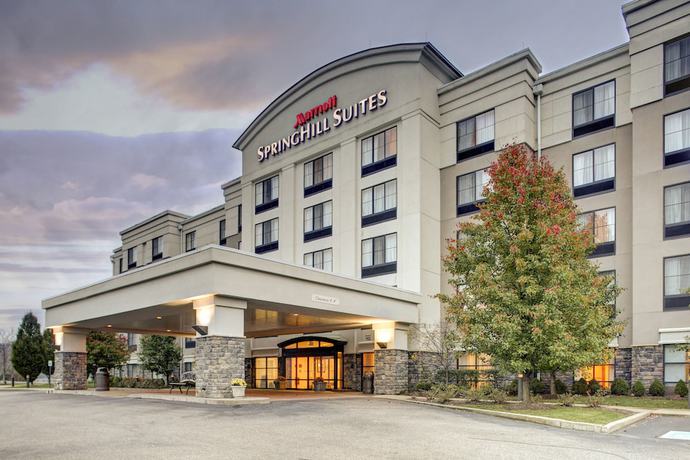 Imagen general del Hotel Springhill Suites By Marriott Wheeling Tridelphia Area. Foto 1