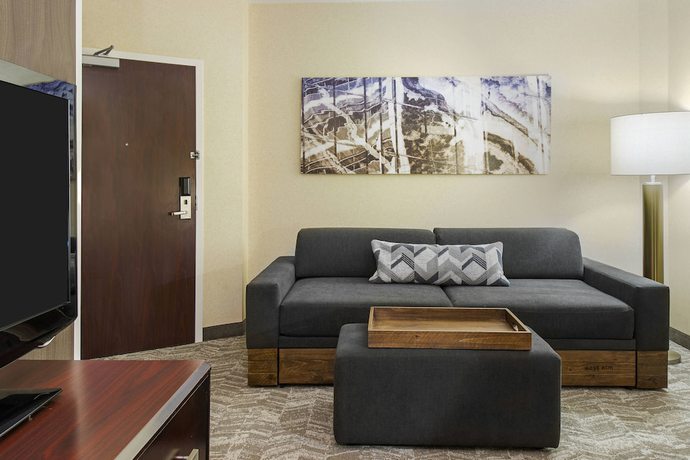 Imagen de la habitación del Hotel Springhill Suites By Marriott Wheeling Tridelphia Area. Foto 10