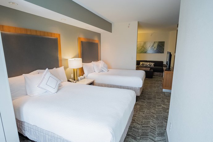Imagen de la habitación del Hotel Springhill Suites By Marriott Winston-salem Hanes Mall. Foto 4