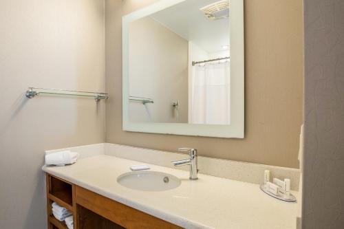 Imagen de la habitación del Hotel Springhill Suites By Marriott-houston/rosenberg. Foto 15