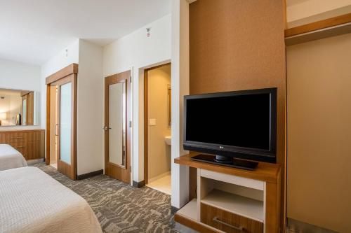 Imagen de la habitación del Hotel Springhill Suites By Marriott-houston/rosenberg. Foto 16