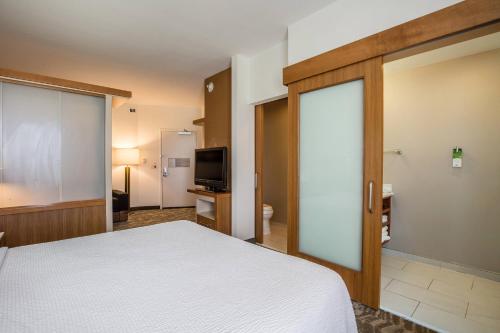 Imagen de la habitación del Hotel Springhill Suites By Marriott-houston/rosenberg. Foto 17