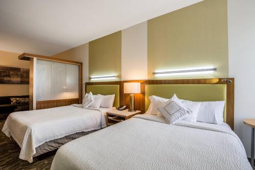 Imagen de la habitación del Hotel Springhill Suites By Marriott-houston/rosenberg. Foto 19