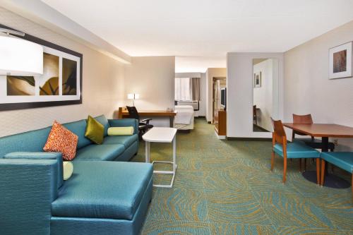 Imagen de la habitación del Hotel Springhill Suites Chicago Southwest At Burr Ridge/hinsdale. Foto 15