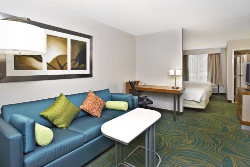 Imagen de la habitación del Hotel Springhill Suites Chicago Southwest At Burr Ridge/hinsdale. Foto 18