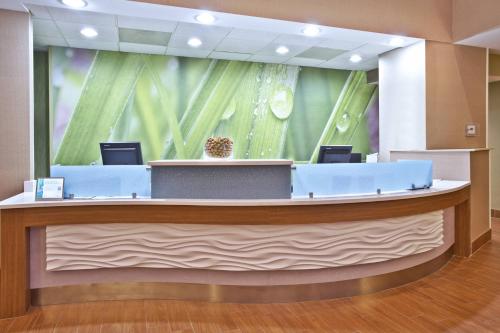 Imagen general del Hotel Springhill Suites Chicago Southwest At Burr Ridge/hinsdale. Foto 2