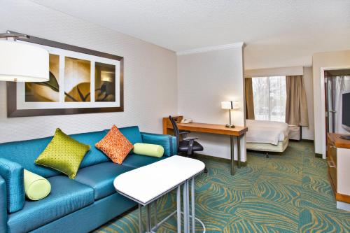 Imagen general del Hotel Springhill Suites Chicago Southwest At Burr Ridge/hinsdale. Foto 6