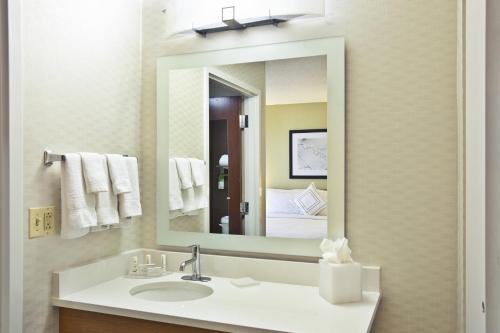 Imagen general del Hotel Springhill Suites Chicago Southwest At Burr Ridge/hinsdale. Foto 12