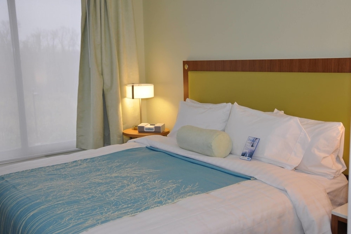 Imagen de la habitación del Hotel Springhill Suites Cincinnati North/forest Park. Foto 6