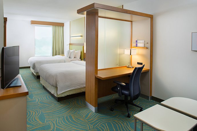 Imagen de la habitación del Hotel Springhill Suites Dallas Lewisville. Foto 10