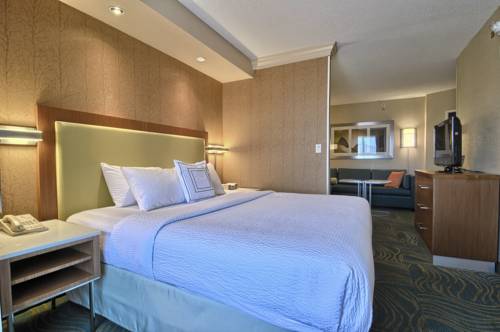 Imagen de la habitación del Hotel Springhill Suites Detroit Southfield. Foto 3