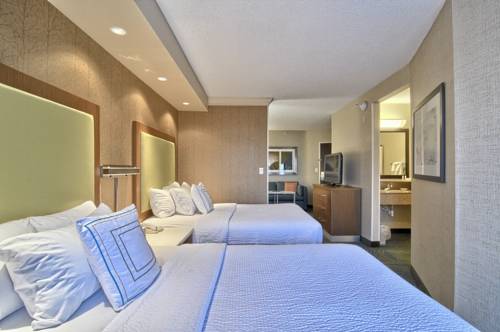 Imagen de la habitación del Hotel Springhill Suites Detroit Southfield. Foto 4