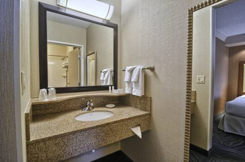 Imagen de la habitación del Hotel Springhill Suites Detroit Southfield. Foto 5