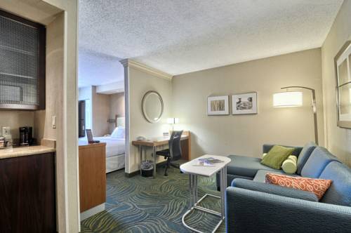 Imagen de la habitación del Hotel Springhill Suites Detroit Southfield. Foto 7